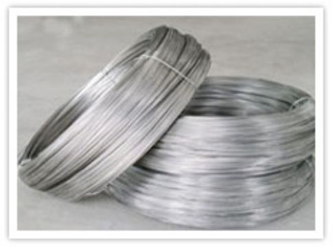 Supply Stainless Steel Wire Mesh